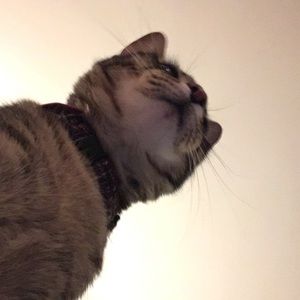 Meet your Posher, Alex